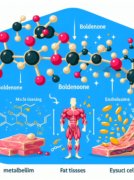 Comment la Boldénone affecte le métabolisme des graisses et la masse musculaire