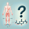 Drostanolone Enantate et varices : y a-t-il un risque ?