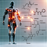 Effet du phénylpropionate de nandrolone sur les processus d'oxydation des graisses musculaires
