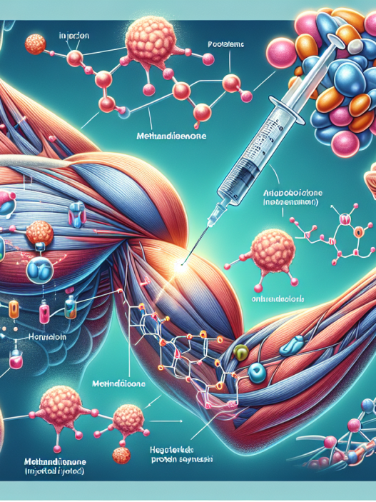 La méthandiénone injectable et son rôle dans la stimulation de la synthèse des protéines dans les muscles