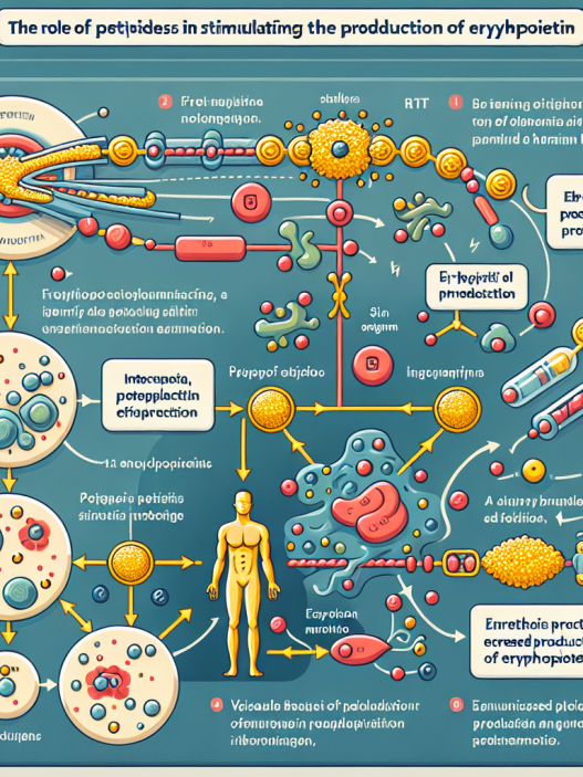 Le rôle des peptides dans la stimulation de la production d'érythropoïétine.