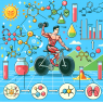 Effet du trenbolone énanthate sur le métabolisme énergétique