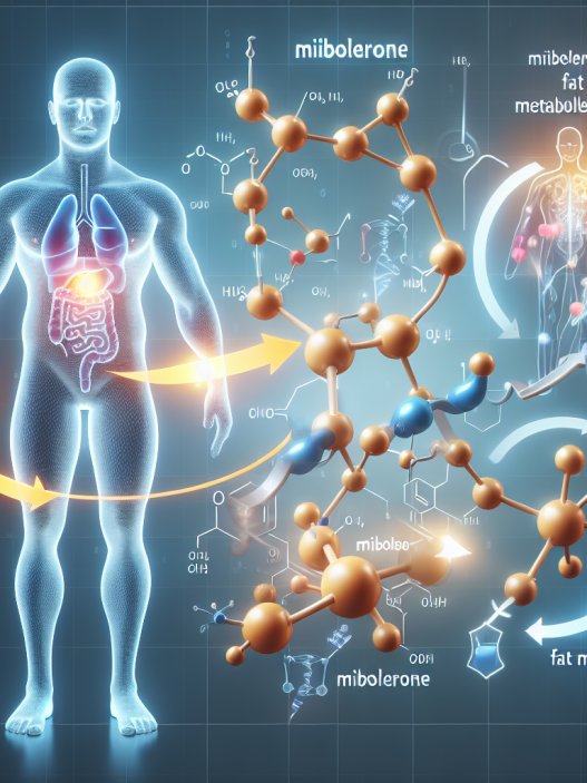 La Mibolerone contribue-t-elle à améliorer le métabolisme des graisses ?